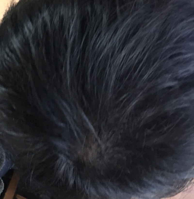 KakaoTalk_20170103_150509363.jpg