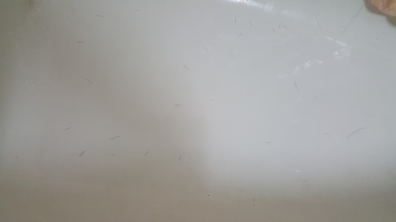 20190215_202221.jpg
