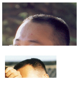head.jpg