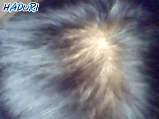 머리2.jpg