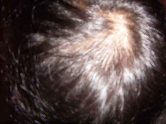 PICT0028.JPG