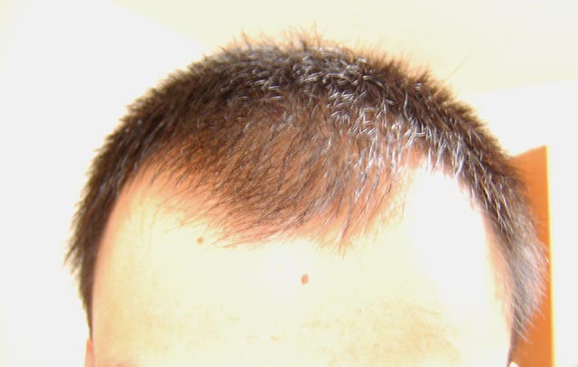 SANY0001.jpg