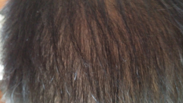 20140611_120652.jpg