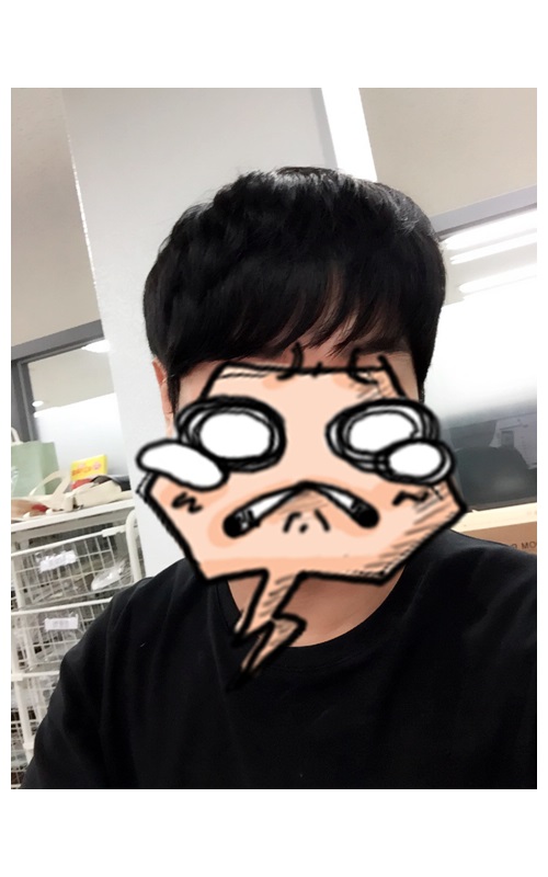 cats5.jpg