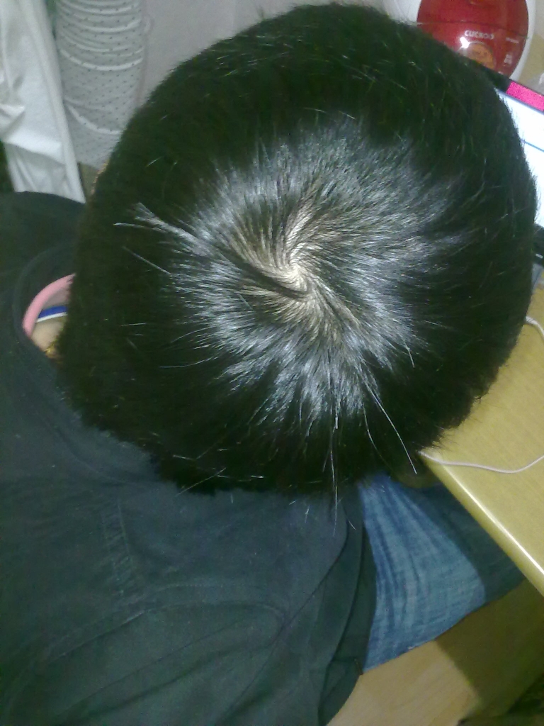 20121206569.jpg
