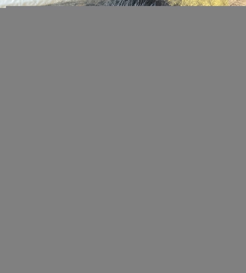 210726_6_1.jpeg