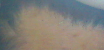 사본 -AveoStill0004.bmp