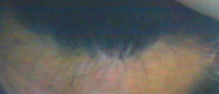 사본 -AveoStill0003.bmp