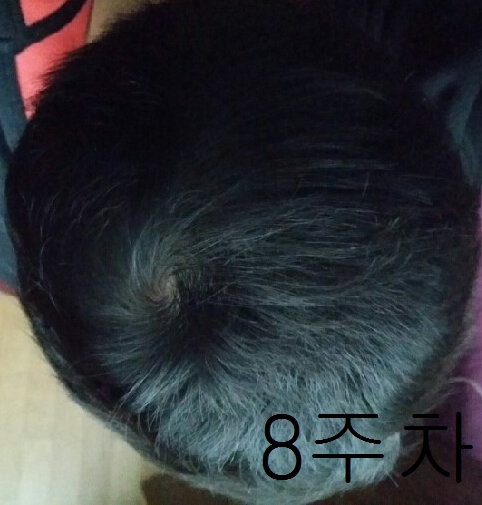 8주차에염.jpg