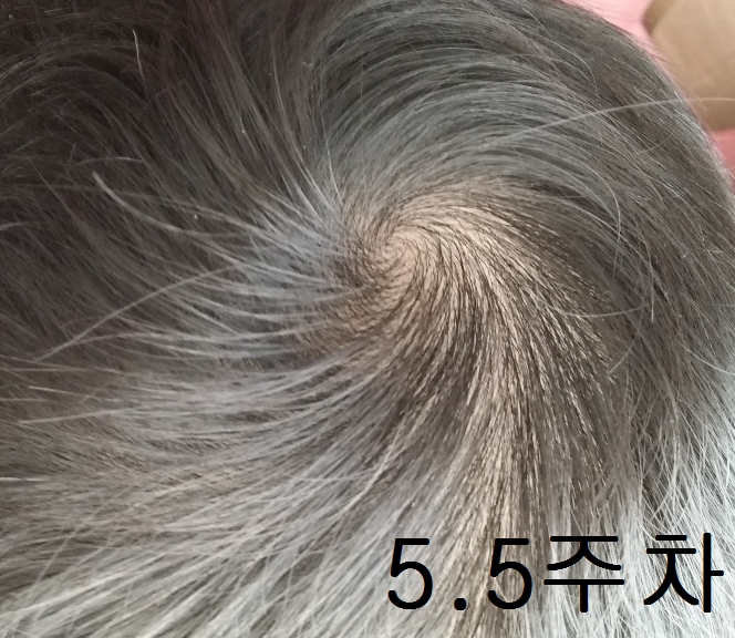 5.5주차 (1).jpg