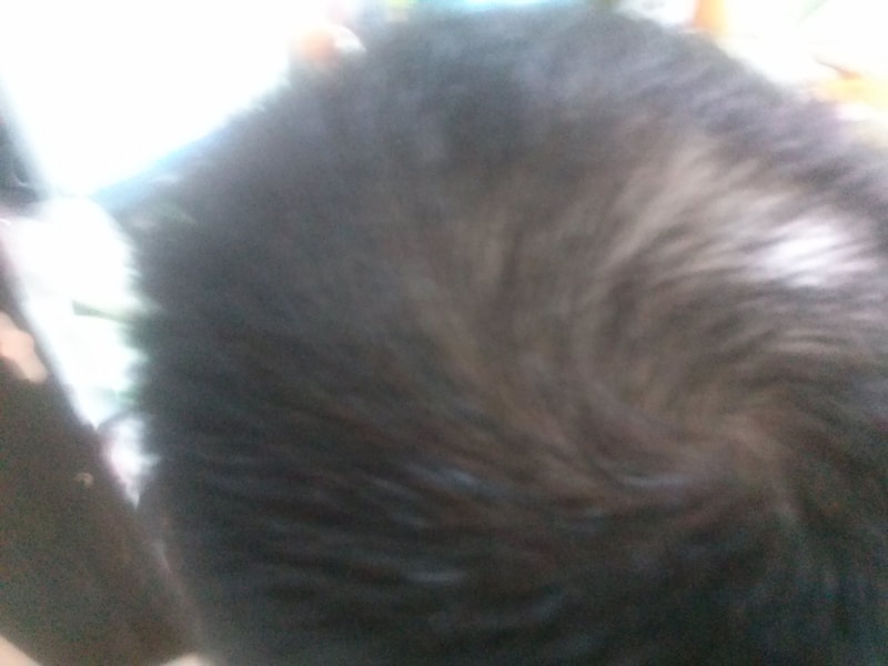 CAM00014.jpg
