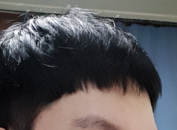 217일째 내린.jpg