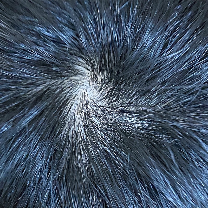 E9FBB873-F418-4C8F-958A-9B59AD617988.jpeg