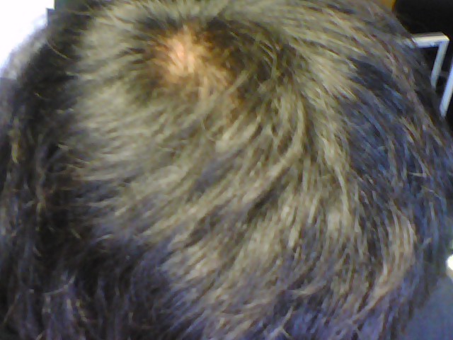 P08-05-23_07.27.jpg