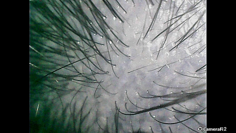 221121_203457.jpg