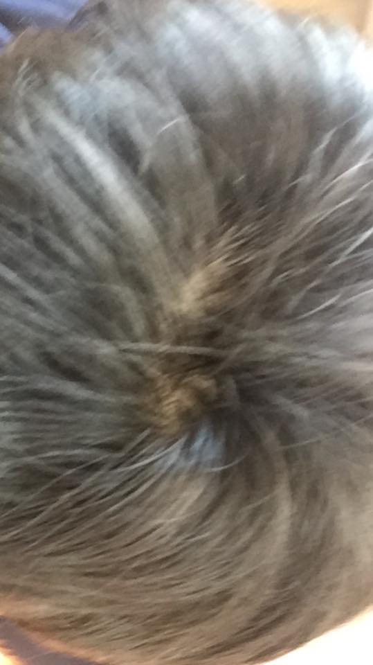 17554376_1337690032982204_5670762375721276752_n.jpg