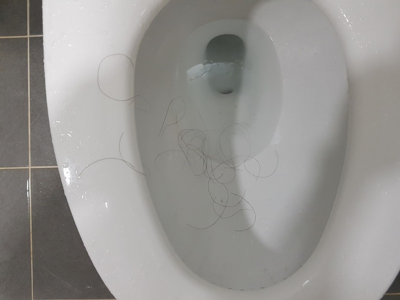 20190817_135217.jpg