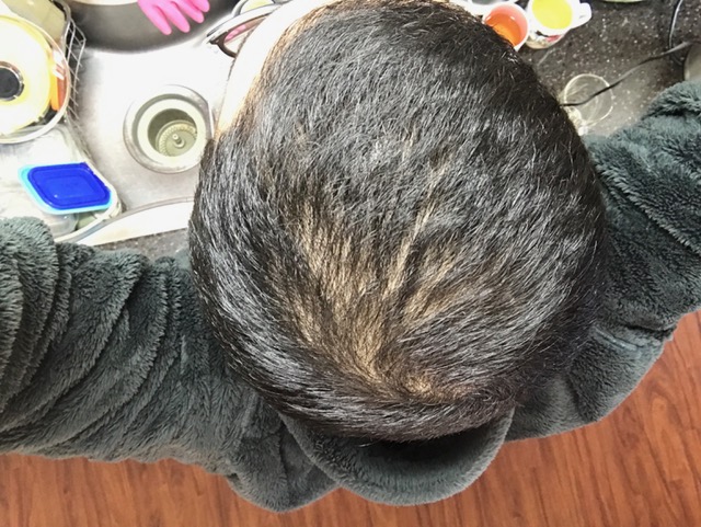 2017.01.31.jpg