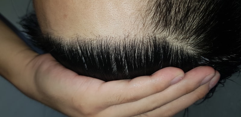20190824_012253.jpg