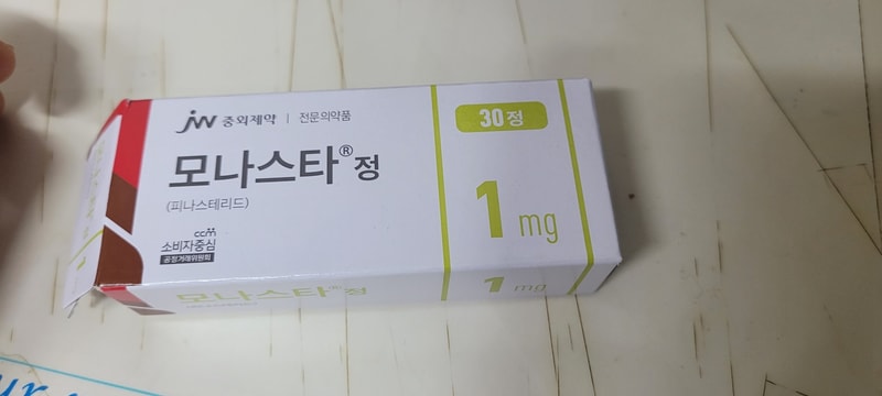 모나스타정 후기!