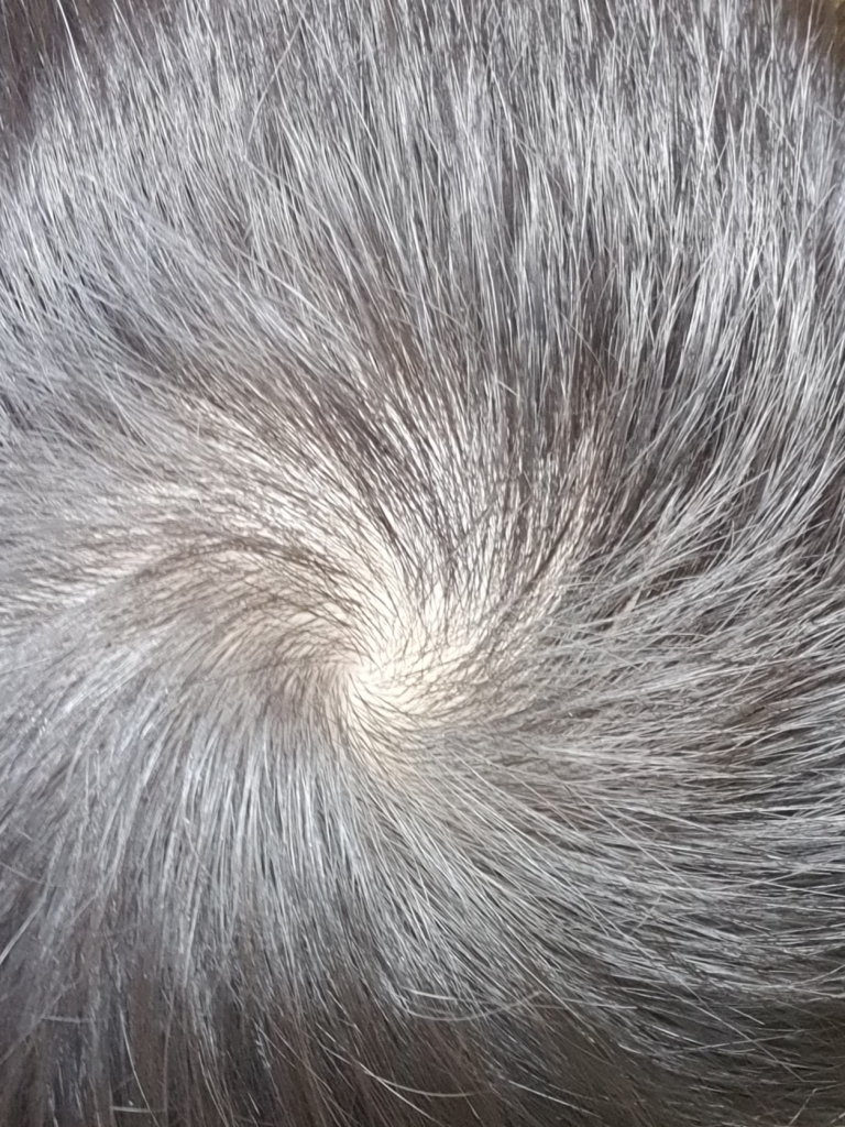 20190615_190351.jpg