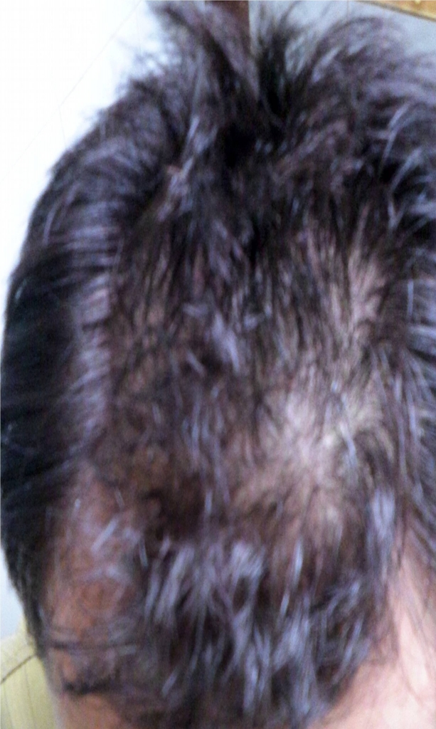 2011-1-31.jpg