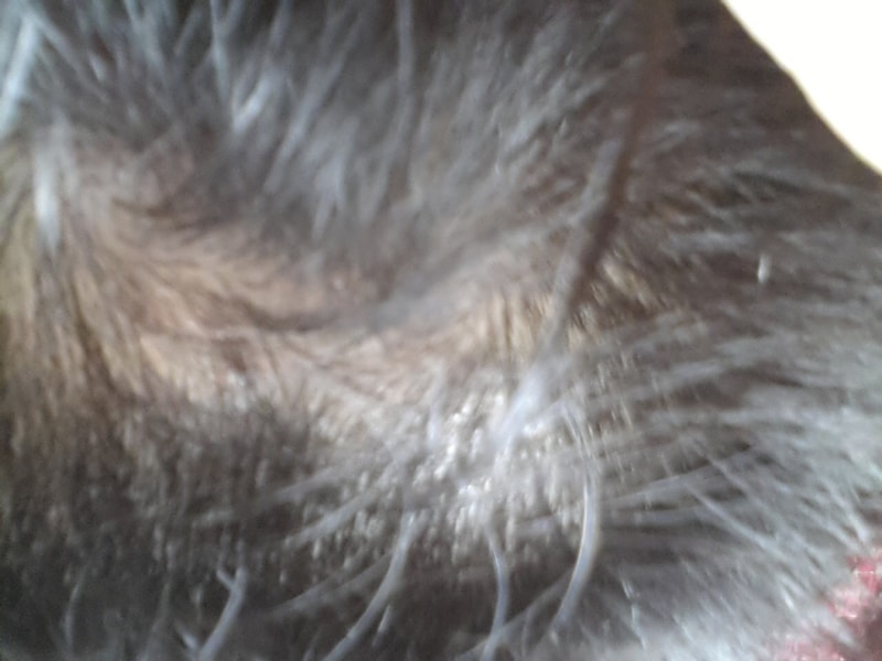 20140301_091713.jpg