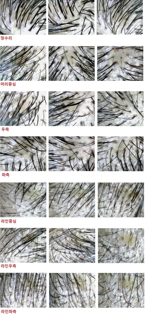 2012.09.06현미경사진04.jpg