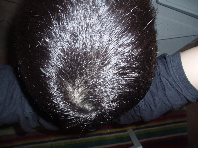 P1010164.JPG
