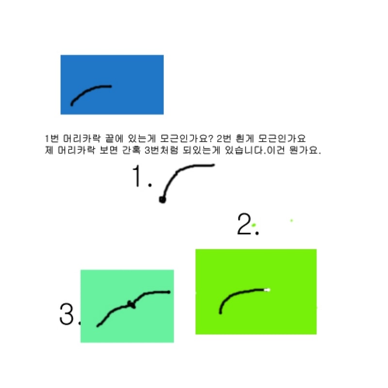 Untitled-1 copy.jpg