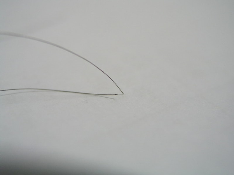 P3210200.JPG
