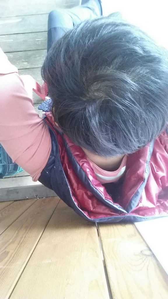 20160423_104753.jpg