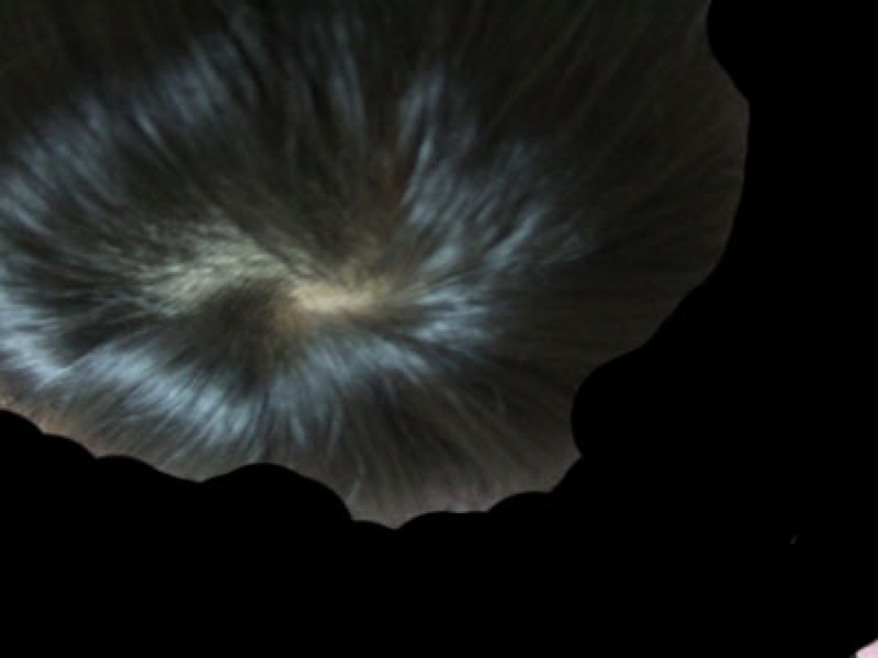 DSCF4839.jpg