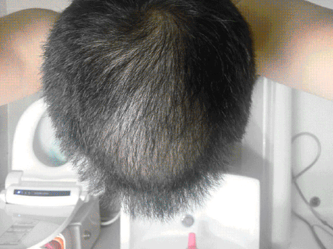 2016-10-16.gif