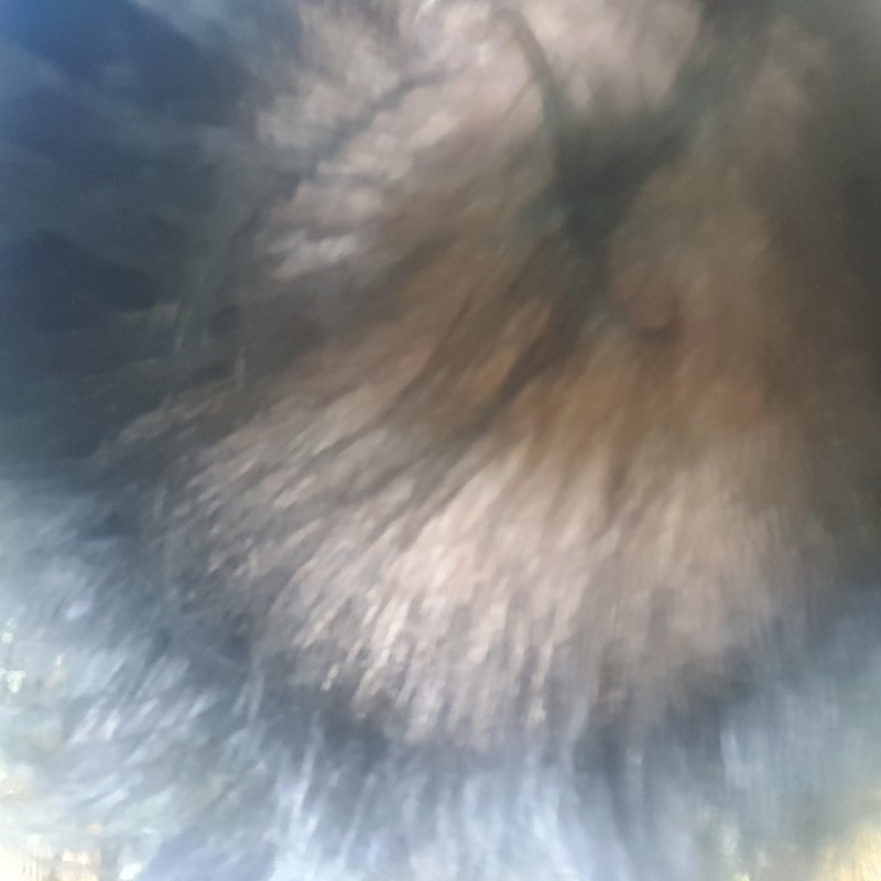 20170419_145226.jpg