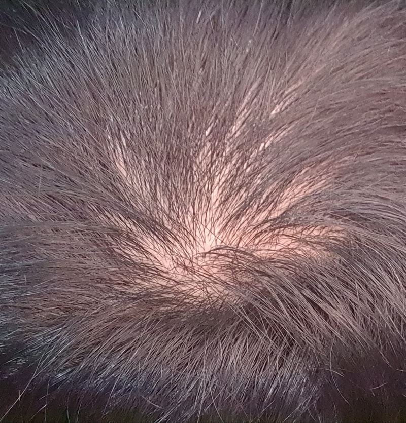 20210122_124509.jpg