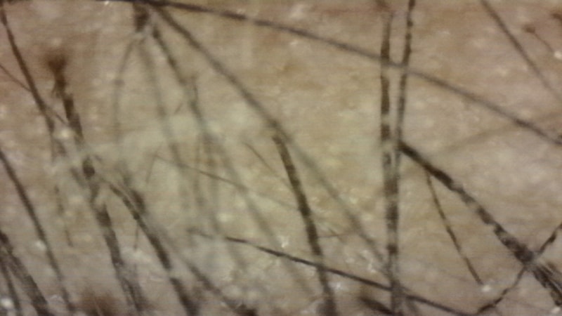 20250914-084058-545.jpg