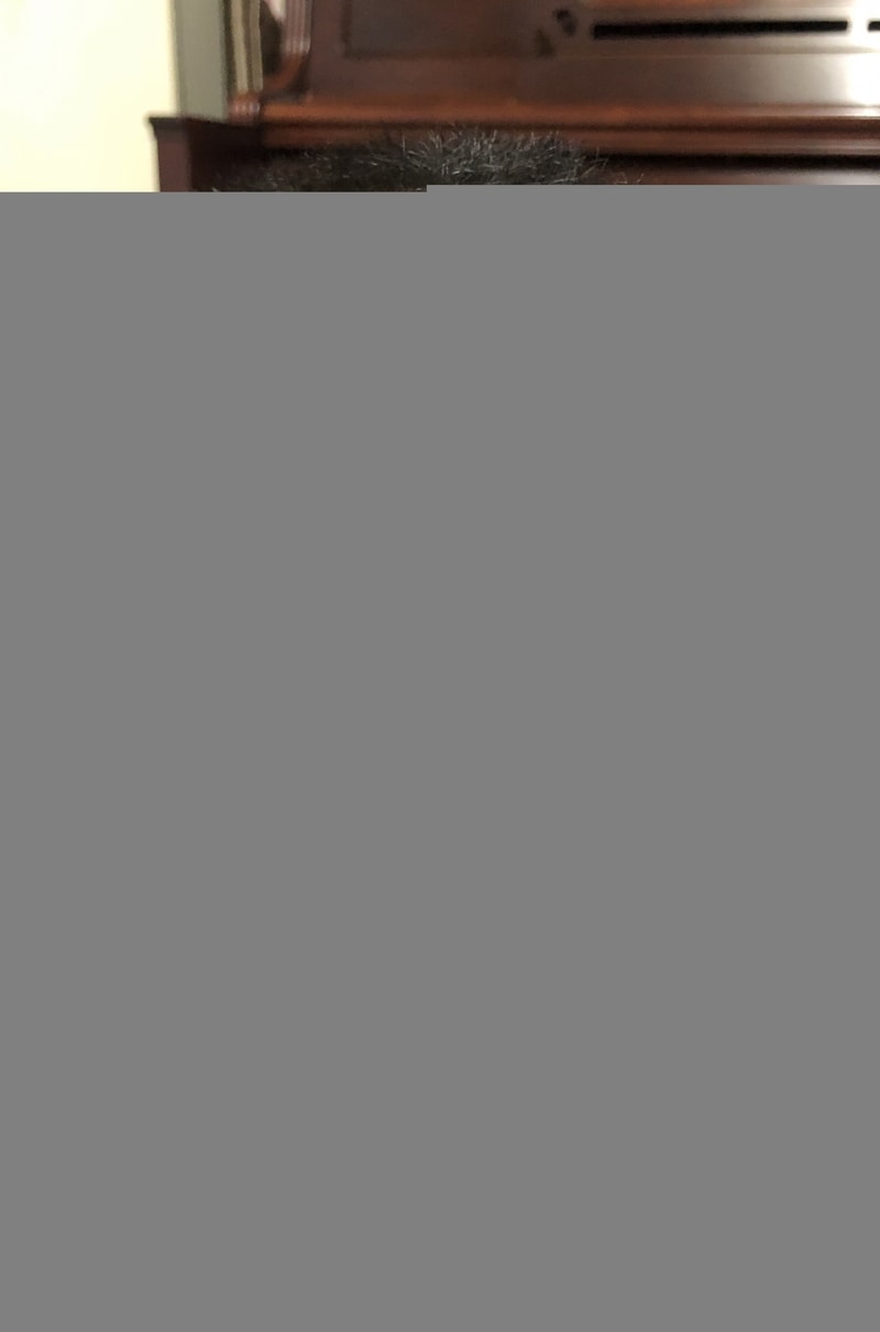 0A45ED5C-64E6-4028-8D83-D7E544E4793A.jpeg