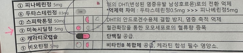 두타+스피락톤+미녹 시작했습니다!
