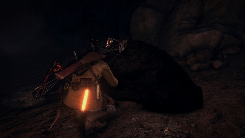 ROTTR 2020-09-19 23-35-45-683.jpg