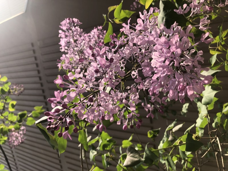 9F0CF8B5-7759-455C-A7B5-A92E16344DD8.jpeg