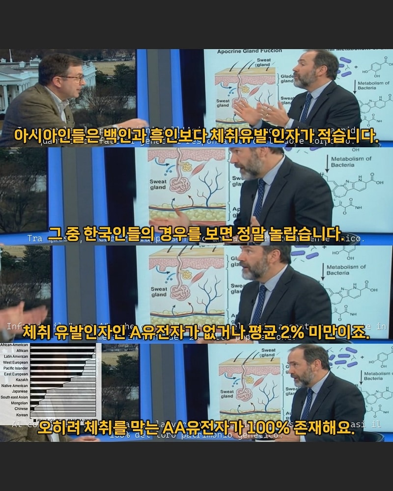 정작 한국인들은 모르고 있는 K국뽕 근황