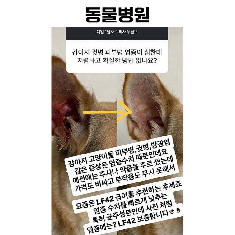5.JPG