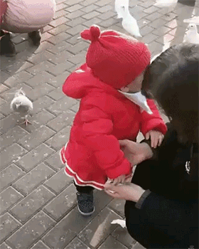 1625839401359.gif