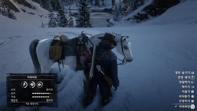 Red_Dead_Redemption_2_get_legendary_horse_10.jpg