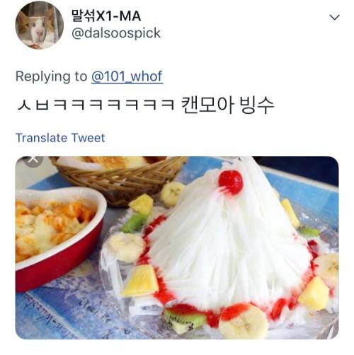 대 눈꽃빙수 고양이3.jpg