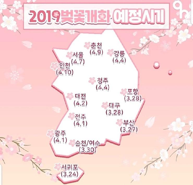 F32650_2019년 벛꽃개화 예정시기.jpg