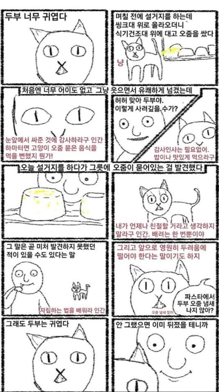 대 고양이가 귀여운 이유.jpg