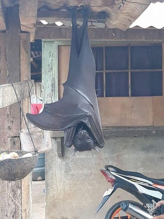 아침에 식겁한 이유.jpg