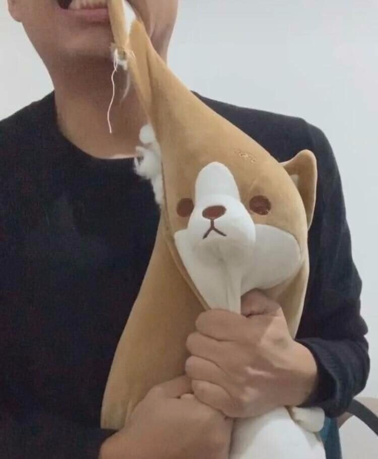 강아지3.jpg